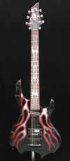 ESP LTD.jpg